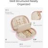 BAGSMART Travel Jewelry Case Jewelry Organizer Storage Roll Rings Necklaces Earrings Bracelets Brooches Watch Large Portable Light Pink(B-Black)